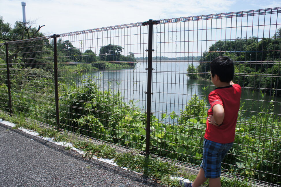 多摩湖の男