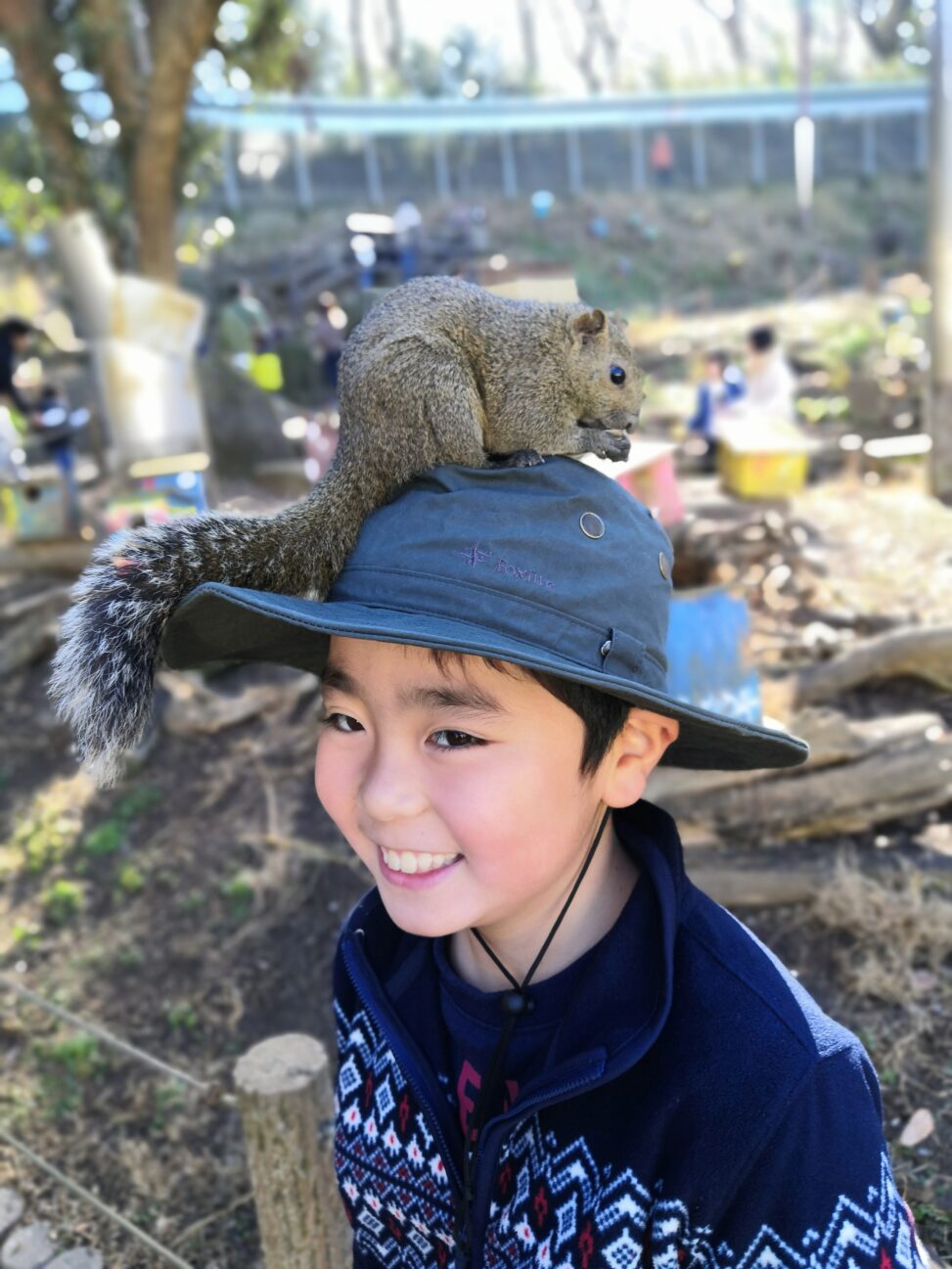 かわいいリス